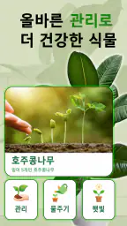 식물 식별 AI - 케어 screenshot