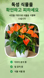 식물 식별 AI - 케어 screenshot