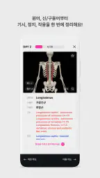 아나토미마스터 - 이파마스터가 만든 해부학 암기앱 screenshot