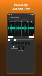 오디오 비디오 노이즈 감소기, 변환기 screenshot