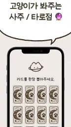 우주고양이 보라 - 사주, 운세, 사주풀이, 타로 screenshot