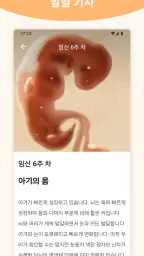 Pregnancy + | Tracker App screenshot