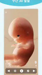 Pregnancy + | Tracker App screenshot