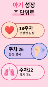 임신어플 | 임신 관리 및 임신 달력 및 임신 모니터 screenshot