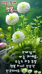좋은 아침 & 좋은 아침 인사말 카드 screenshot