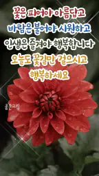 좋은하루-인사말 이미지 배경화면 좋은아침 글귀 screenshot