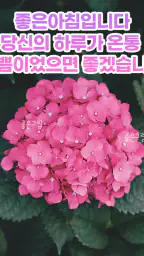좋은하루-인사말 이미지 배경화면 좋은아침 글귀 screenshot