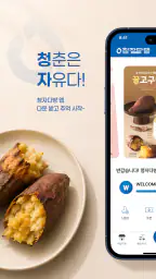 청자다방 screenshot