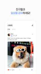 케이프렌즈-한국을 좋아하는 외국인 친구들과 만나보세요 screenshot