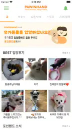 포인핸드 -유기동물 입양&실종동물 찾기(유기견,유기묘) screenshot