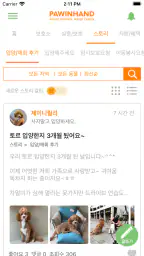 포인핸드 -유기동물 입양&실종동물 찾기(유기견,유기묘) screenshot