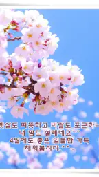 포토카드!mFun - 인사,문자 screenshot