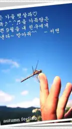 포토카드!mFun - 인사,문자 screenshot