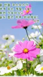 포토카드!mFun - 인사,문자 screenshot