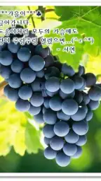포토카드!mFun - 인사,문자 screenshot