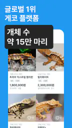 피들 screenshot