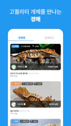 피들 screenshot