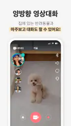 헬로코코 - 펫CCTV, AI 감지, 펫캠, 영상대화 screenshot