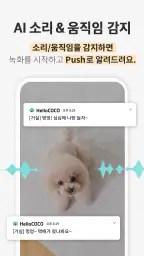 헬로코코 - 펫CCTV, AI 감지, 펫캠, 영상대화 screenshot