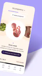 24baby.nl – Pregnant & Baby screenshot