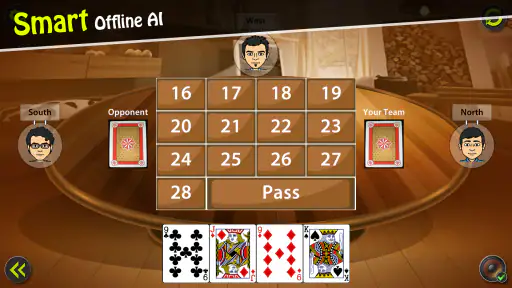 29 Card Game screenshot