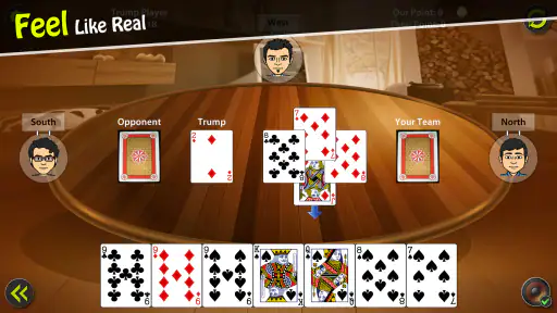 29 Card Game screenshot