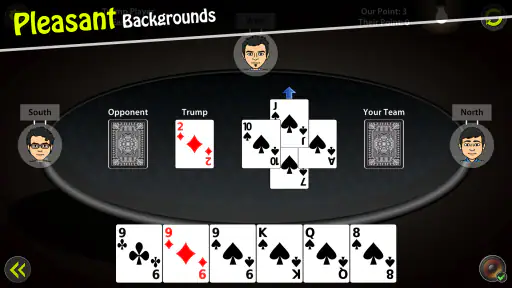 29 Card Game screenshot