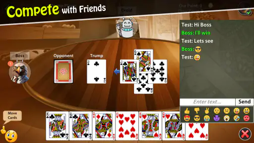 29 Card Game screenshot