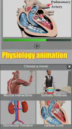 3D Anatomy screenshot