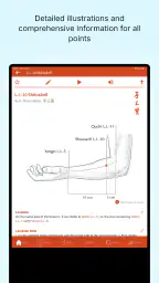 A Manual of Acupuncture 2025 screenshot
