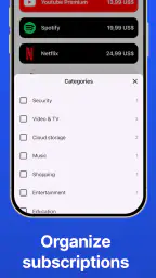 Abonnementsoversikt - ReSubs screenshot