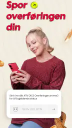 ACE Money Transfer Send Penger screenshot