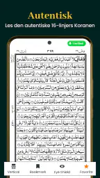 Al Quran Kareem 16 Linjer screenshot