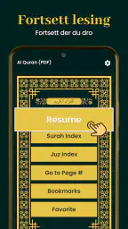 Al Quran Kareem 16 Linjer screenshot