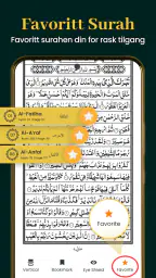 Al Quran Kareem 16 Linjer screenshot