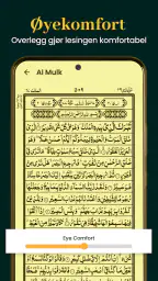 Al Quran Kareem 16 Linjer screenshot