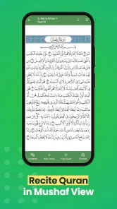 Al Quran (Tafsir & by Word) screenshot