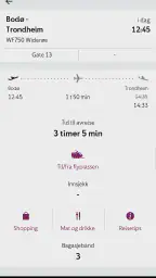 Avinor screenshot