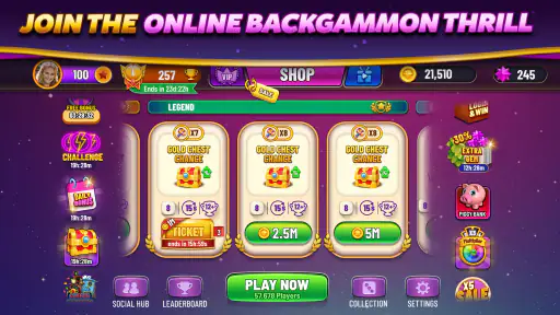 Backgammon Plus - Board Game screenshot