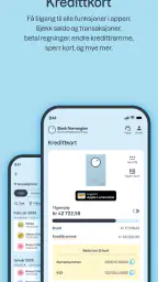 Bank Norwegian screenshot