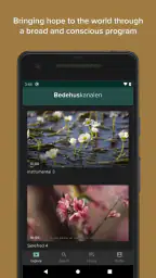 Bedehuskanalen screenshot