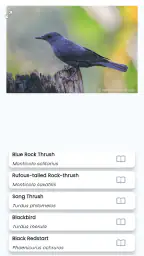 BirdID screenshot