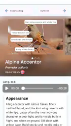 BirdID screenshot
