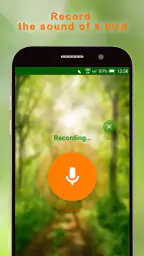BirdNerd: Bird Song Identifier screenshot