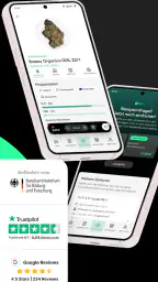 Bloomwell screenshot