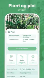 Blossom – planteidentifisering screenshot