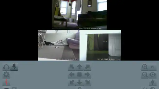 Blue Iris screenshot