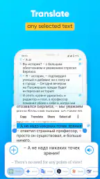 Book's Parallel Translation screenshot