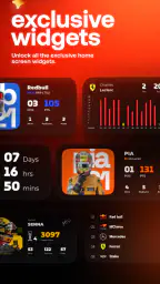 Box Box Club: Formula Widgets screenshot