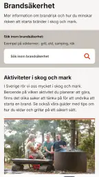 Brandrisk Ute screenshot